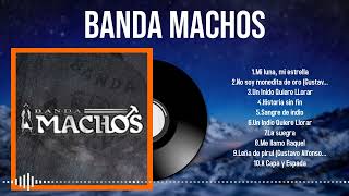 2024 Top Picks of Banda Machos Songs to Lift Your Spirits