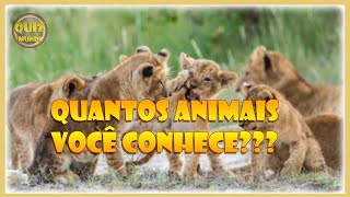 QUIZ DE CURIOSIDADES SOBRE OS ANIMAIS CONHECIMENTOS GERAIS