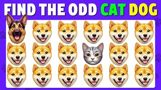 Find The Odd One Out | Cats & Dogs Edition 😺🐶