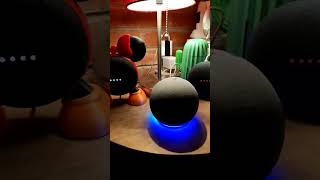 ¡Todo se salió de control en esta casa! jajaja #Alexa #google #googlehome #comedia #humor #broma