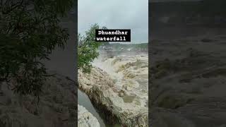 dhuandhar waterfall view jabalpur #viral #shorts #shiraznurmagomedov