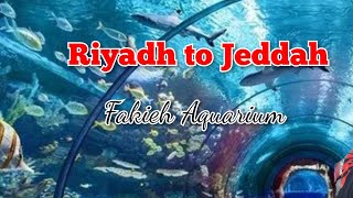 Riyadh To Jeddah By Road - Fakieh Aquarium Saudi Arabia Family Vlog