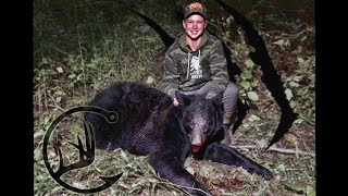 WI Bear Hunting 2020- (BIG BEAR DOWN)