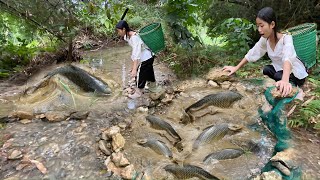 Orphaned girl uses stream rocks to create circular traps to catch many big fish to sell