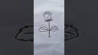 Rose 🌹🌹 drawing #esy drawing #shorts#viral