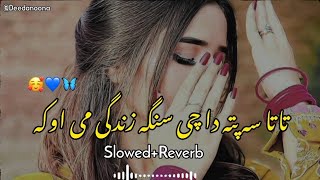 Tata Sa Pata Da Che Sanga Zindagi Me Oka 🥰 ( Slowed And Reverb ) Pashto New Song - Deedanoona