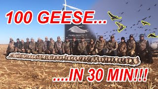 Canada GEESE hunt {Texas Panhandle} - IT'S RAINING GEESE!!!