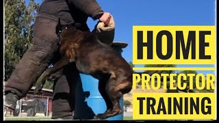 HOME PROTECTOR DOG TRAINING VIDEO | GAURD DOGS #training