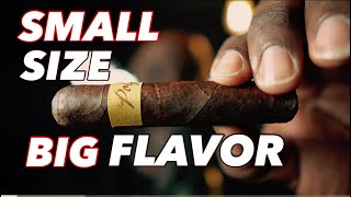 Polpetta cigar review | Summer Smoke Series💨💨