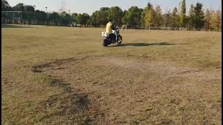 GOLF SCOOTER --PXID