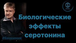 SmartLearn: Дмитрий Косенков: "Биологические эффекты серотонина".