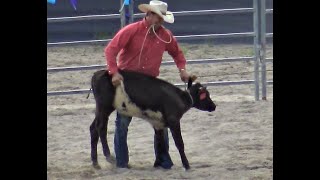 Steve Augustin at Stanthorpe Rodeo 2020