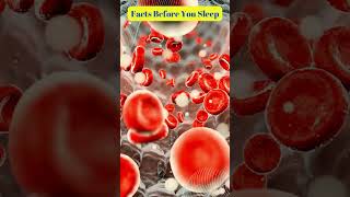 The Hidden Factories:  Blood Cell Production in the Body #shorts #science