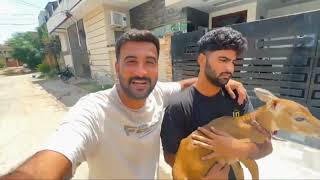 Hum NELOO Ko New Mini Zoo Main Le K Agaiy❤️#viralvideo