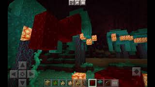 Minecraft 😉🌎exploring netherworld