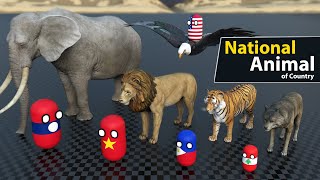 National Animal of all countries | animated animals