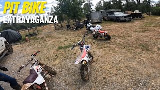 Pit Bike Extravaganza