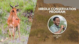 Protecting Hirola Antelope | Wildlife Conservation Expo