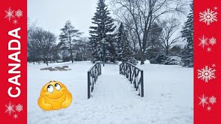 Le Québec sous la neige | hiver au Québec, Canada