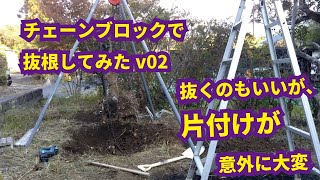 チェーンブロックを使って椿の木を抜根してみたv2　抜根と片付け　DIYで筋トレ