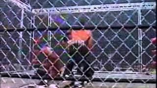 Hollywood Hogan vs Randy Savage - WCW Uncensored 1998