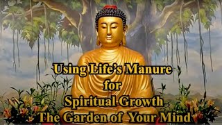 Using Life's Manure for Spiritual Growth   The Garden of Your Mind