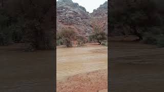 Amazing Flood in Hail ksa #trending #viral #fypシ #amazing #flood #shortvideo #shorts