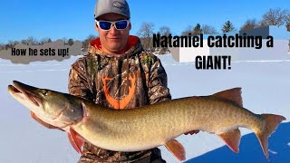 Giant Musky through the ice! #icefishing #musky