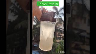 let's drink some coconut water #coconutwater #morningroutine #healthy #drink