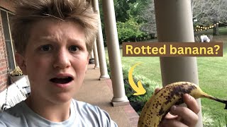 FISHING with a ROTTED BANANA!!