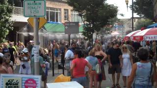 The Crowds at Asheville's Bele Chere 2010