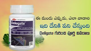 Dow Deligate || పూర్తి వివరాలు || Spinetoram 11.7% SC || TFS Sagubadi #suryabhaskar