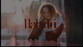 MSR Beat _ Habibi _ Instrumental Beat 2023