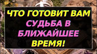 ЧТО ГОТОВИТ ВАМ СУДЬБА В БЛИЖАЙШЕЕ ВРЕМЯ? ЧТО У ВАС НА ПОРОГЕ? Гадание онлайн на картах Таро. Tarot.