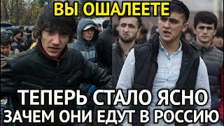 ВЫ ОШАЛЕЕТЕ! Теперь Стало Ясно Зачем Они Едут в Россию/Приезжая Выложила Планы Земляков На Россию...