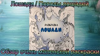 Обзор раскраски Лошади (Породы лошадей) / Как так-то?!😅