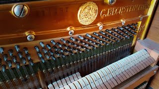 Bechstein 113387