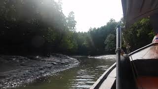 Start of M.T. Tour of Phang-Nga Bay—Low Tide through the Mangroves@Thailand Video Clips