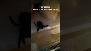 Sedikit Manfaat agar anak2 tidak makanin salju freezer