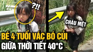 Xót xa với hình ảnh BÉ GÁI 4 TUỔI vác trên vai BÓ CỦI giữa thời tiết NẮNG NÓNG gay gắt gần 40 ĐỘ