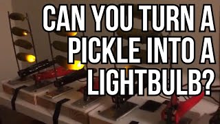 Pickle lightbulb! My (Failed) Mythbusters Audition