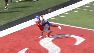 Nicholls WR makes an absolutely insane catch while being hung on in the endzone!