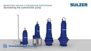 Dismantling of Sulzer pumps with submersible motor