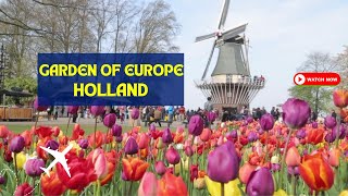 🌷Keukenhof Gardens in Holland | Discover Beauty of Keukenhof, Netherlands 🌷