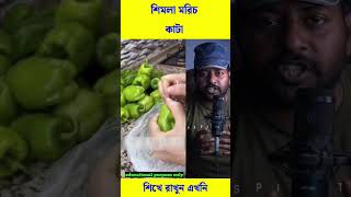 রান্না করার আগে এই ভাবে শিমলা মরিচ কাটুন #trending #reels #viral #shorts