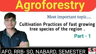 Agroforestry // Fast growing tree species // Sagwan tree or teak tree