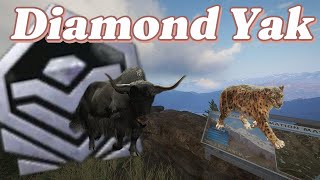 Hunting a DIAMOND YAK in the Mountains!!!