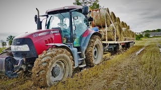 Extremalne zwożenie słomy 2017 na Wielką skalę- ||4xCase,Steyr,JohnDeere,Ursus||FirmaNowak||