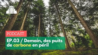 EP3 : « Demain, des puits de carbone en péril » - Entretien avec Laurent Bopp | ENS-PSL