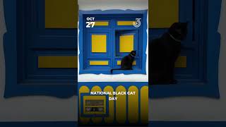 National Black Cat Day - October 27th